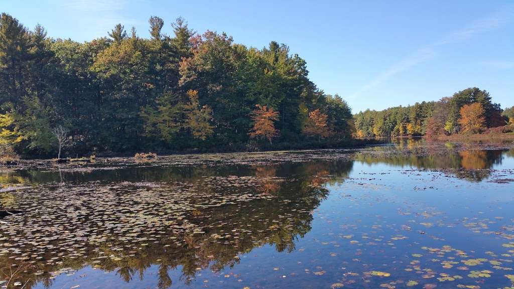 Marlborough-Sudbury State Forest | 31 Hale Rd, Stow, MA 01775, USA