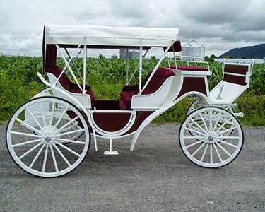 Dream Shire & Carriage Company | 10200 Heddings Rd, Catlett, VA 20119, USA | Phone: (703) 855-4923
