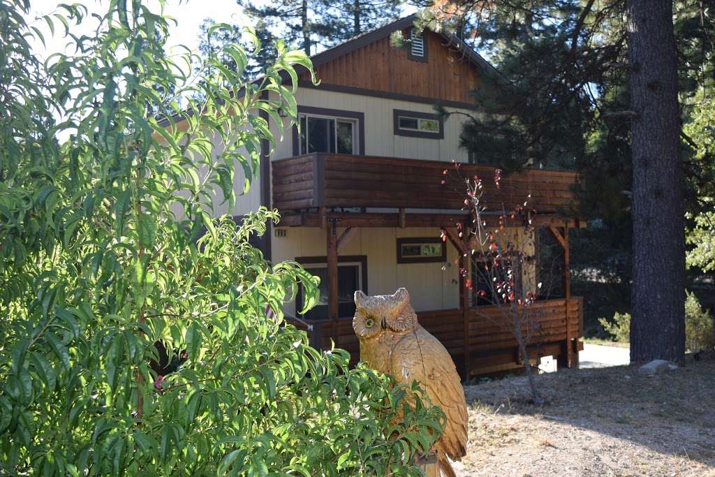 Serenity Lodge - Lake Arrowhead | 985 Meadow Brook Rd, Lake Arrowhead, CA 92352, USA | Phone: (866) 379-4365