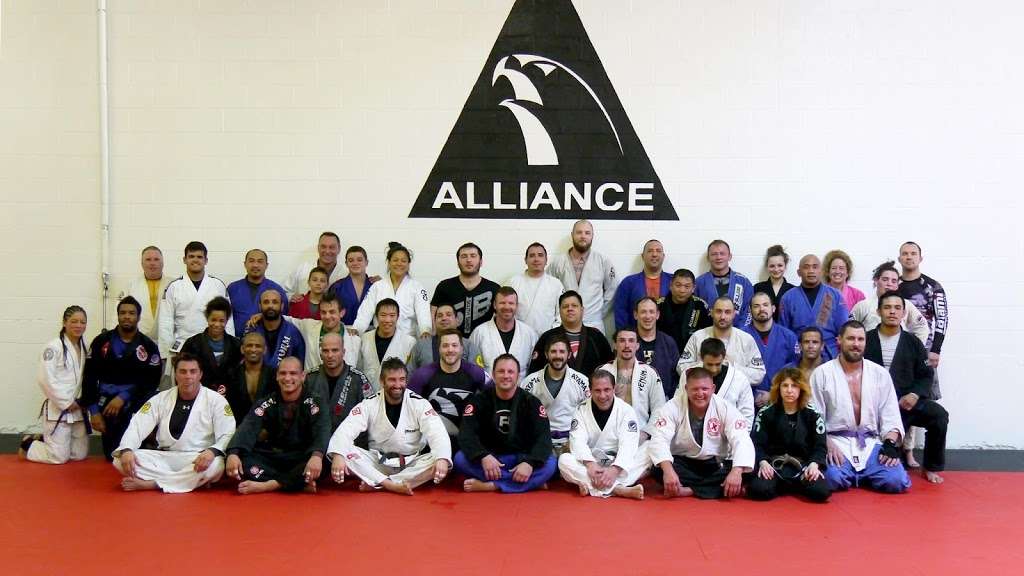 Evolution Mixed Martial Arts | 1600 Shore Rd, Naperville, IL 60563, USA | Phone: (847) 261-4662