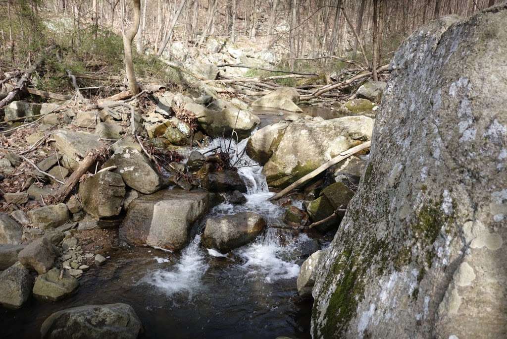 Musconetcong Gorge Loop Trailhead | Dennis Rd, Bloomsbury, NJ 08804, USA | Phone: (908) 782-1158