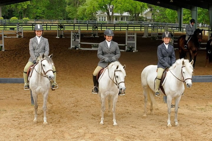 Staffordshire Equestrian Center Inc. | 8656 Surrey Ln, Boca Raton, FL 33496, USA | Phone: (561) 445-3946