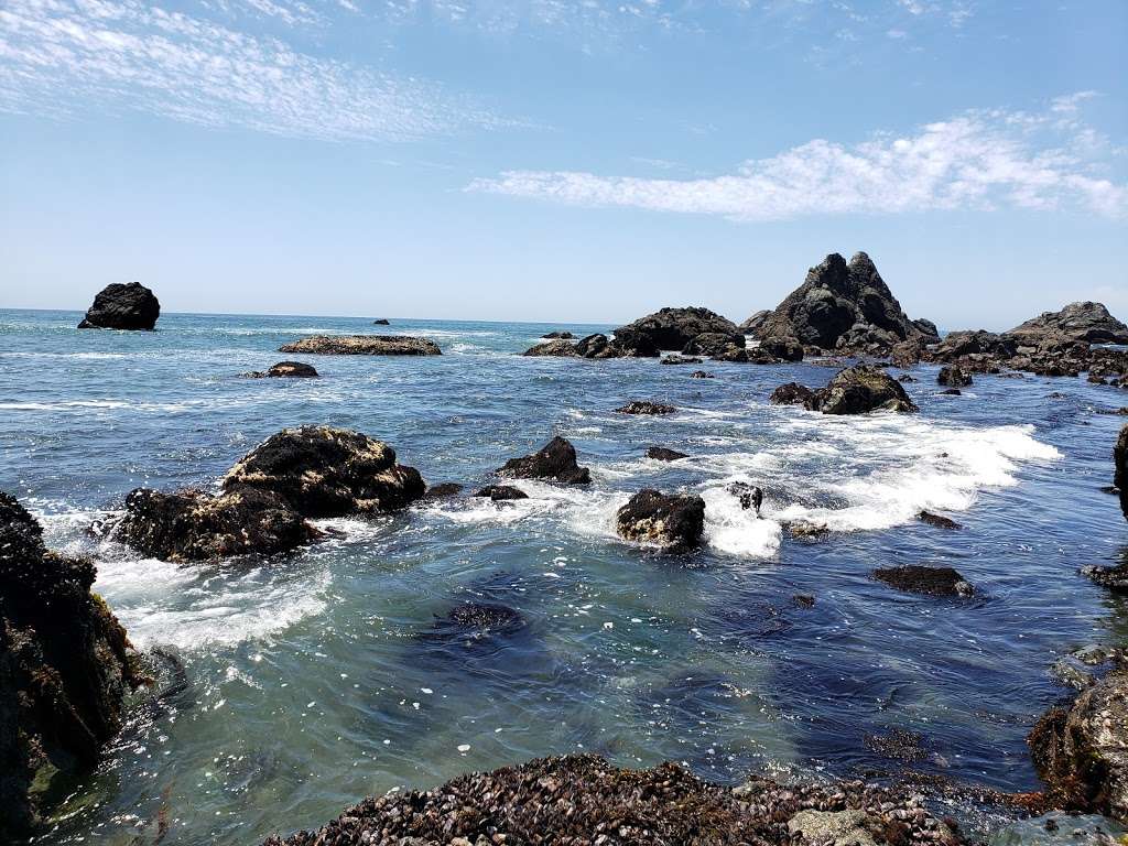 Shell Beach | Bodega Bay, CA 94923, USA | Phone: (707) 785-2377