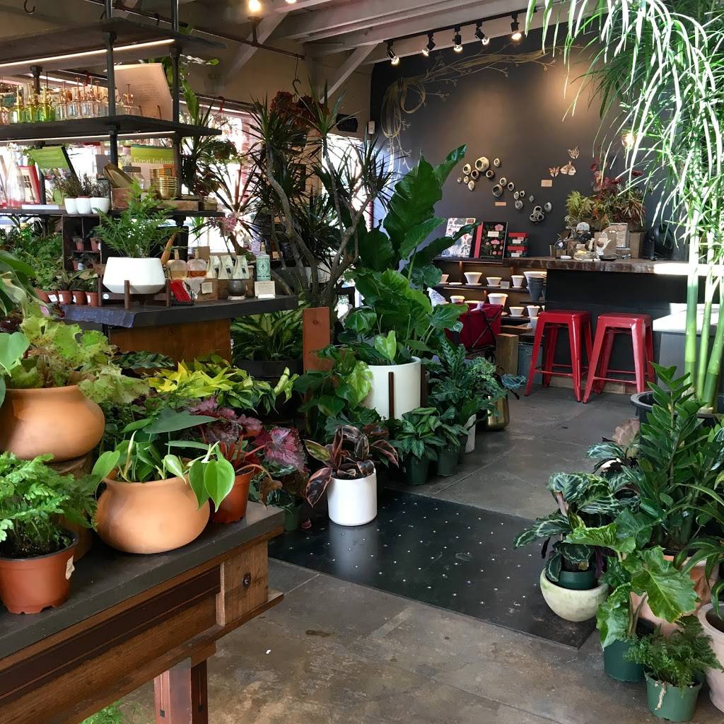 Crimson Horticultural Rarities | 470 49th St, Oakland, CA 94609, USA | Phone: (510) 992-3359