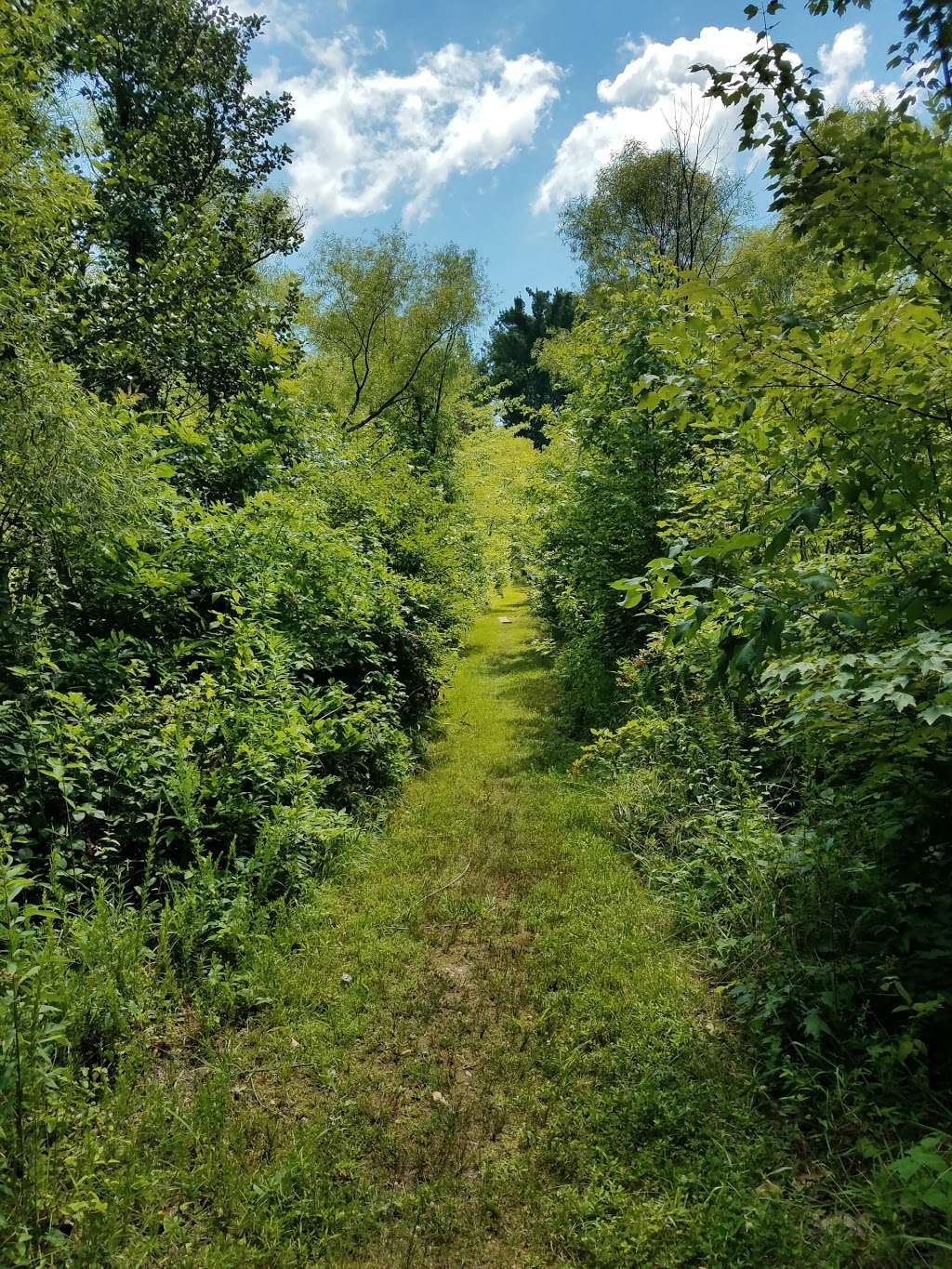 Julie J. Metz Neabsco Creek Wetlands Preserve | 15875 Neabsco Rd, Woodbridge, VA 22191, USA | Phone: (703) 499-9812