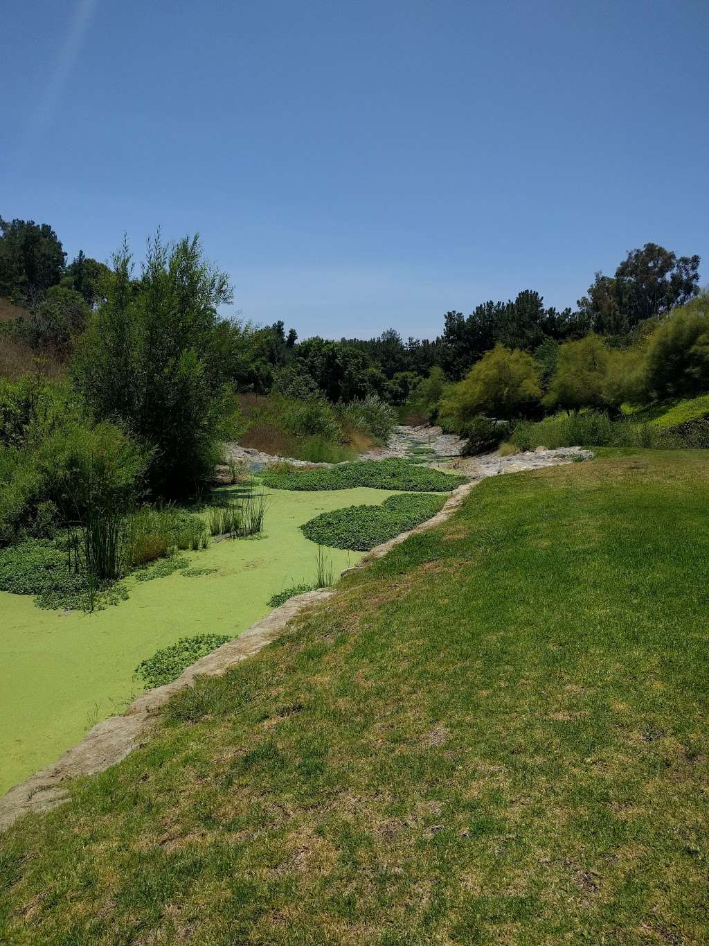 Jeronimo Open Space | 28352 Jeronimo Rd, Mission Viejo, CA 92692 | Phone: (949) 470-3061