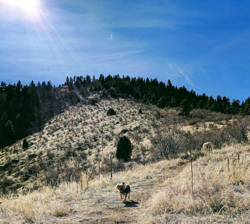 Panorama Point Trail Head | 25338 Bear Creek Rd, Evergreen, CO 80439, USA