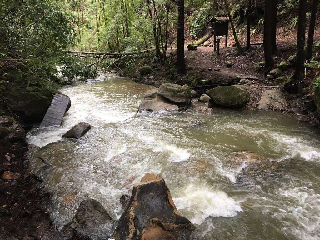 West Waddell Creek State Wilderness | Davenport, CA 95017, USA