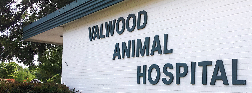 Valwood Animal Hospital | 14067 Dennis Ln, Dallas, TX 75234, USA | Phone: (972) 241-2311