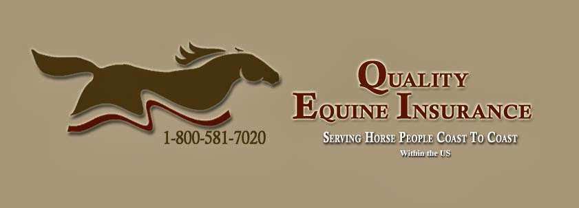 Quality Equine Insurance | PO Box 339, Peculiar, MO 64078, USA | Phone: (800) 581-7020