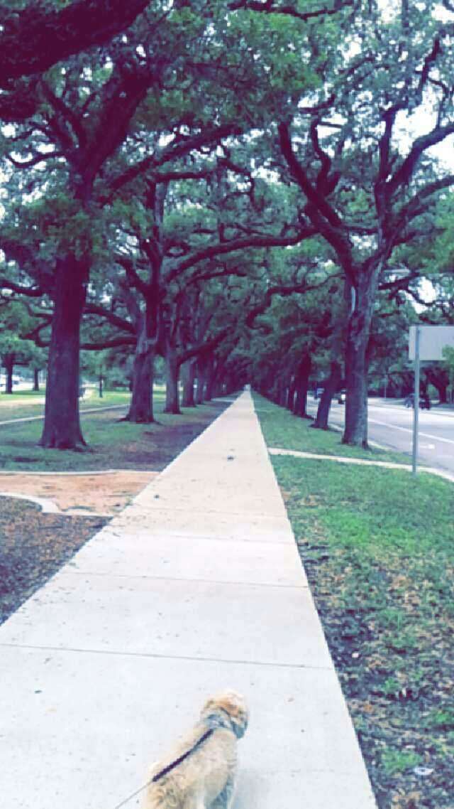 Hermann Park/Rice U | Houston, TX 77030, USA