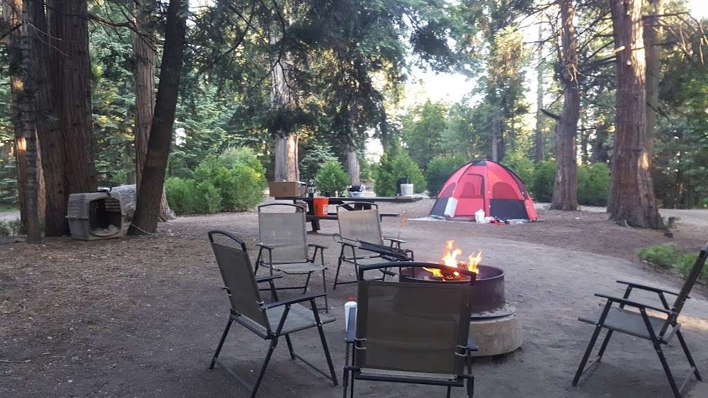 Dogwood Family Campground | Lake Arrowhead, CA 92352, USA | Phone: (909) 336-6717