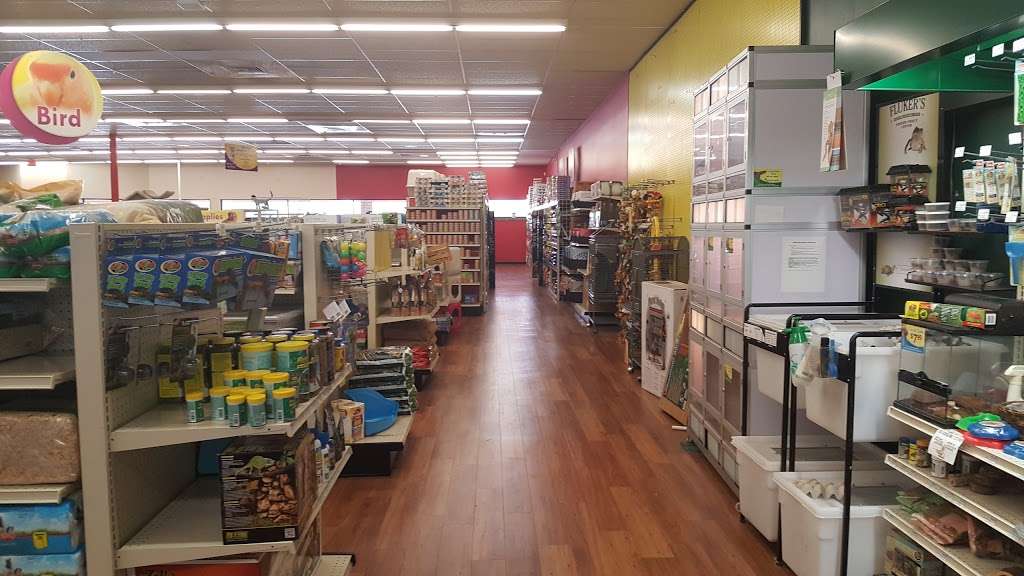 Pet Supermarket | 1235 B Providence Blvd, Deltona, FL 32725, USA | Phone: (386) 575-2550