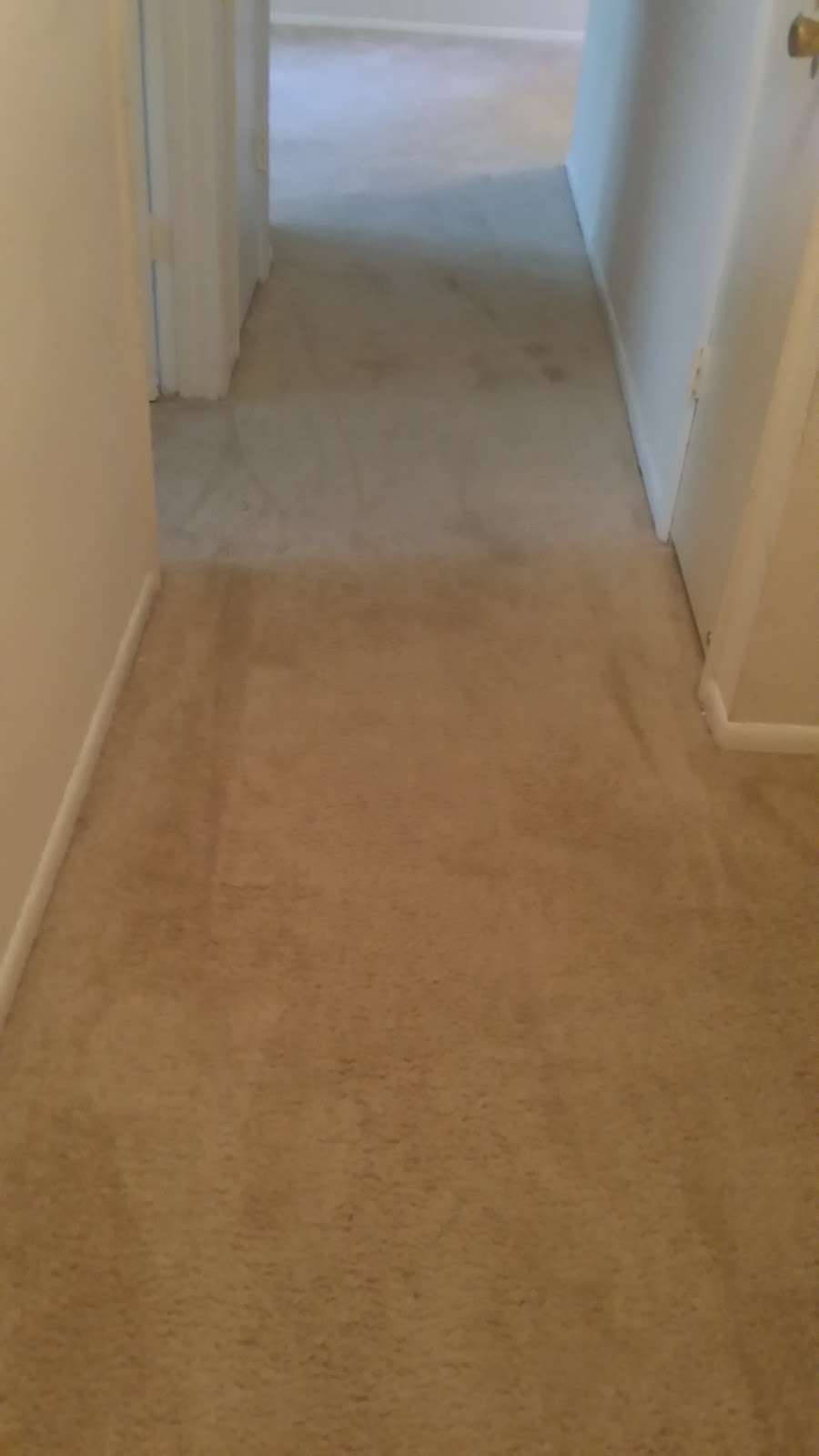 Sandoval Carpet Clean | 621 N Willie St, Olathe, KS 66061, USA | Phone: (913) 957-2409