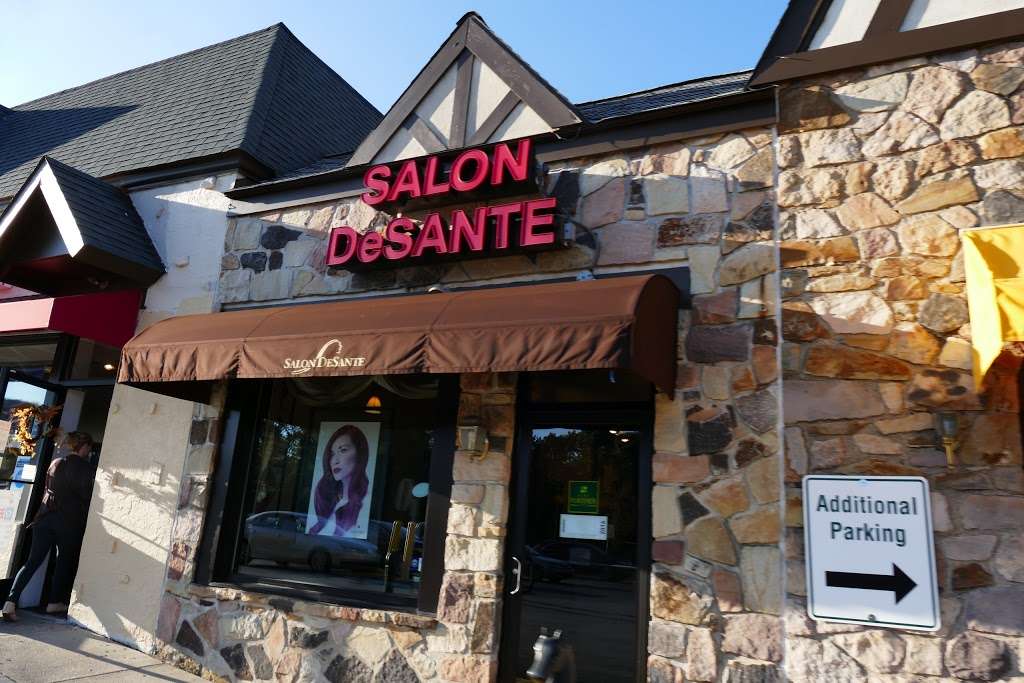 Salon Desante | 1150 Baltimore Pike, Springfield, PA 19064, USA | Phone: (610) 338-0733