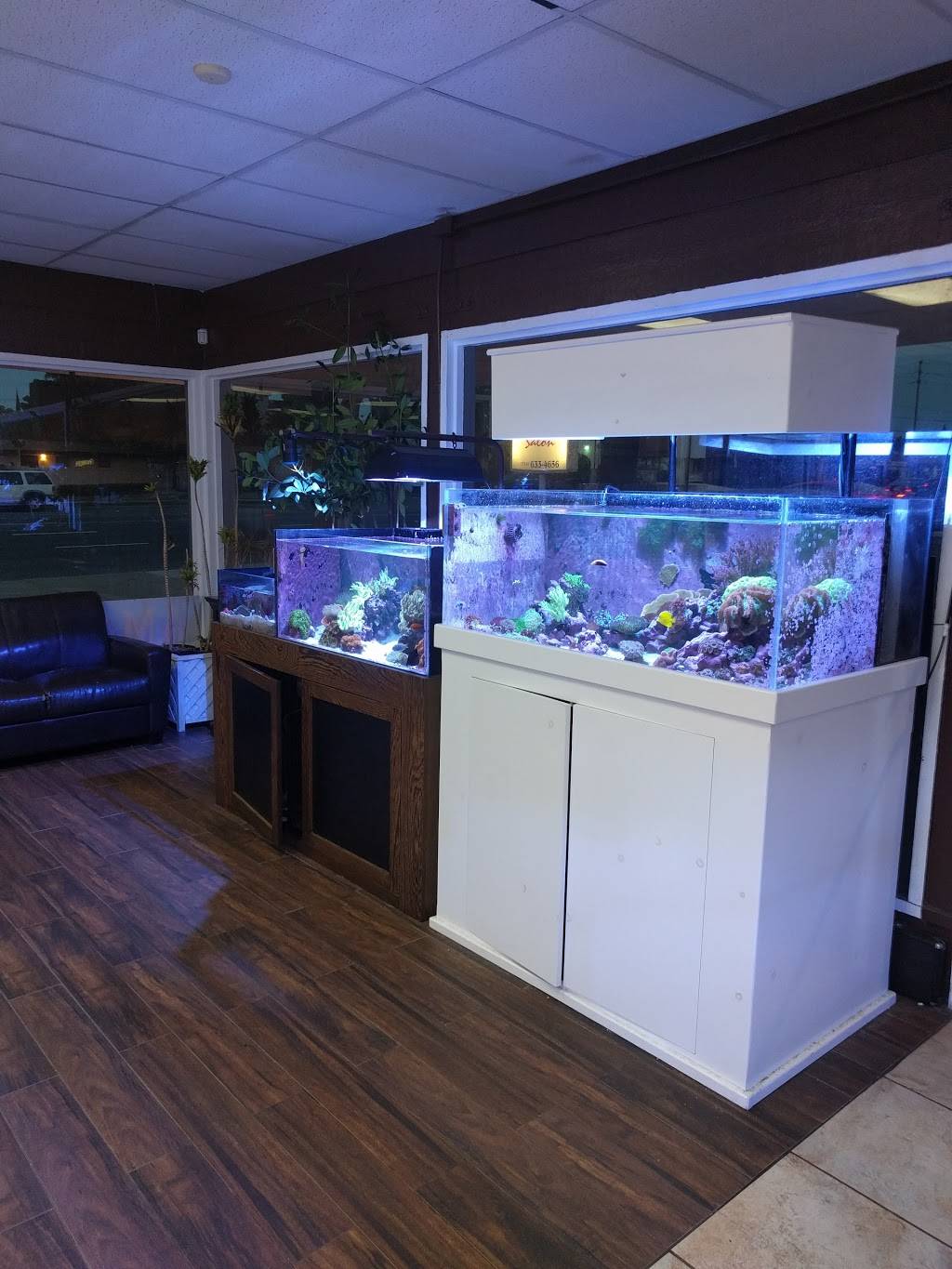 Amazing Aquariums & Reefs | 646 E Katella Ave, Orange, CA 92867, USA | Phone: (714) 928-5299