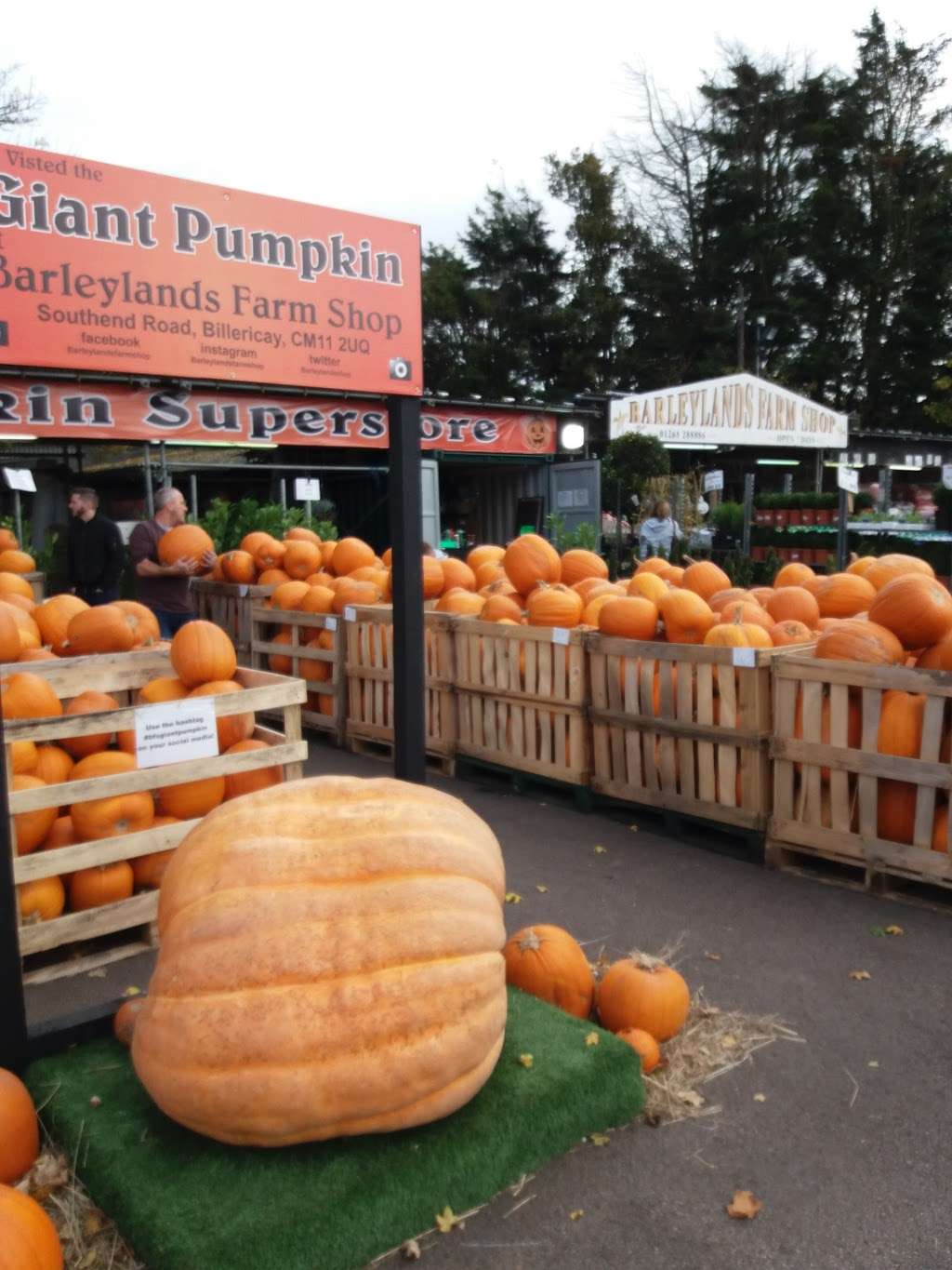 Barleylands Farm Shop | Southend Rd, Billericay CM11 2UQ, UK | Phone: 01268 288886