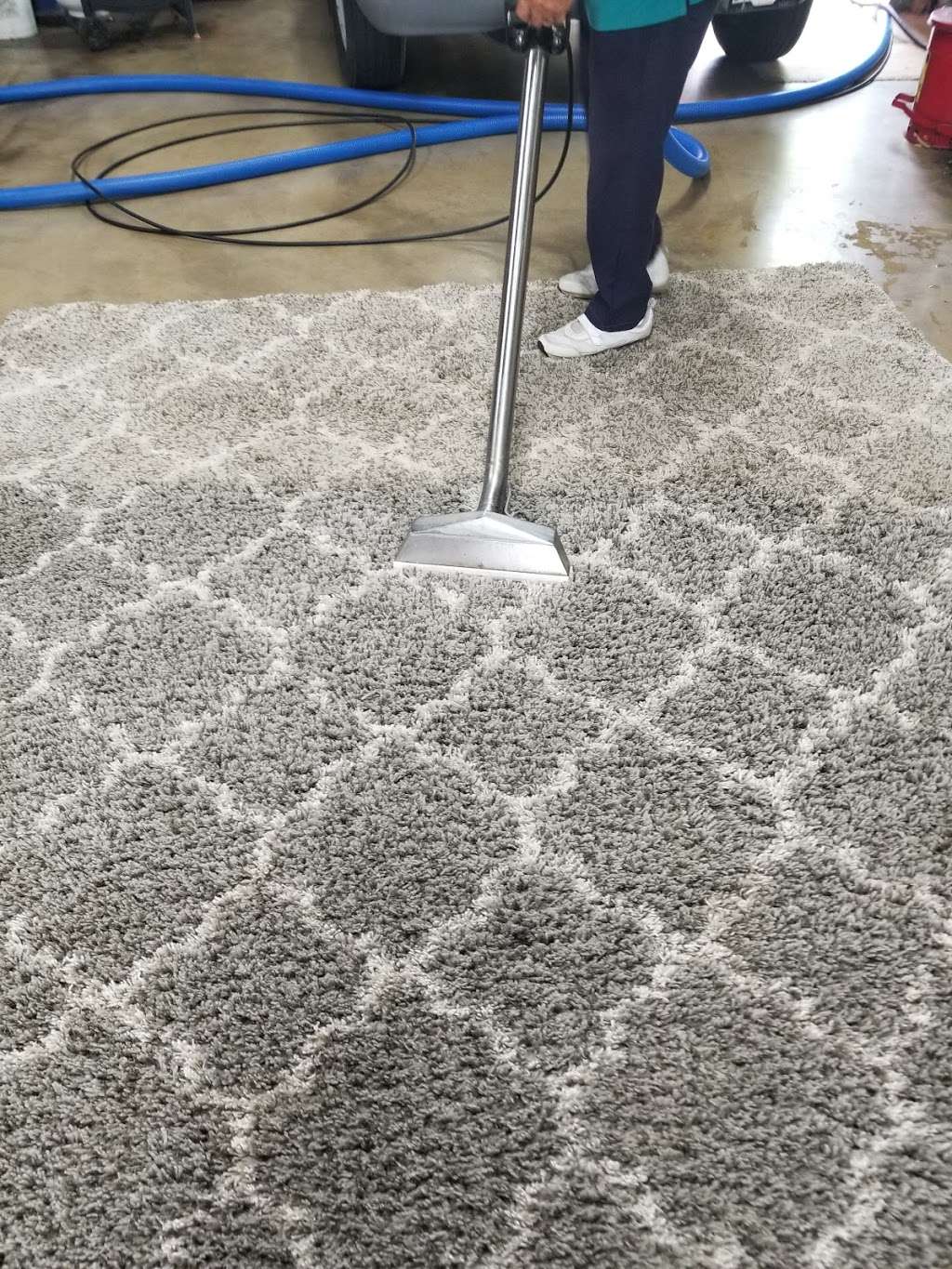 Wolf Brothers Carpet Cleaning | 39W836 Midan Dr, Elburn, IL 60119 | Phone: (630) 232-4424