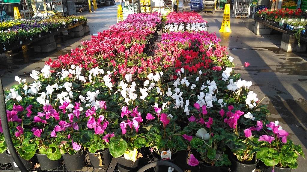 Lowes Garden Center | 7825 Rosedale Hwy, Bakersfield, CA 93308, USA | Phone: (661) 588-6420