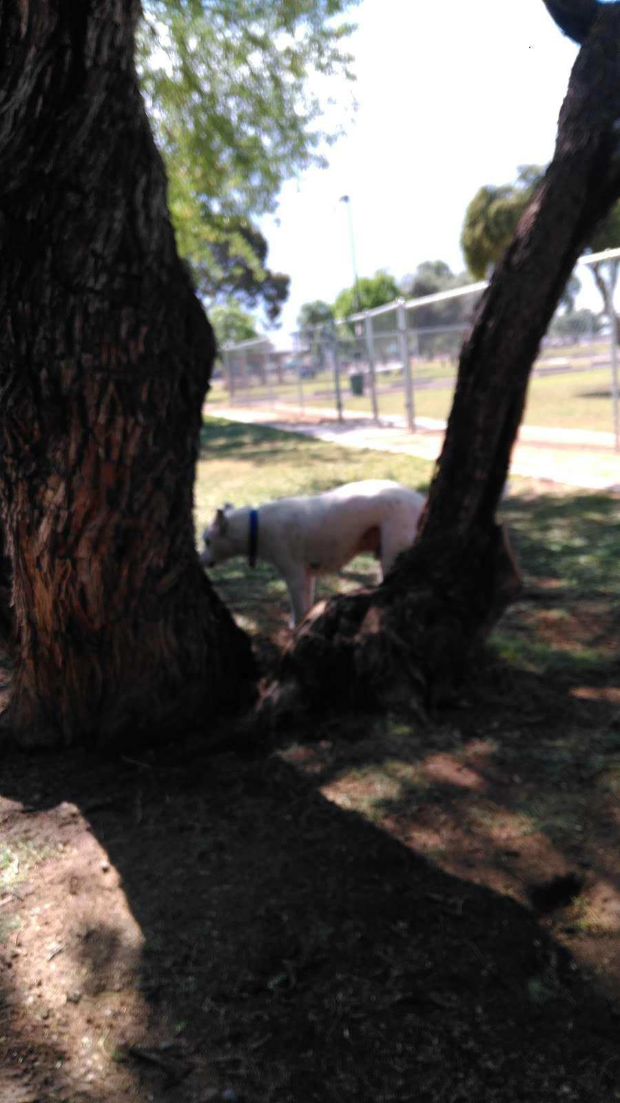 Paradise Valley Small Dog Dog Park | Phoenix, AZ 85032, USA