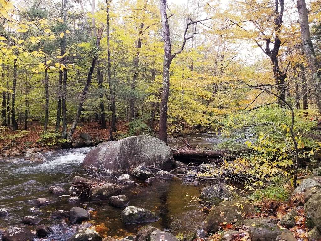 Hiking 1 | 7-300 New York State Reference Rte 987E, Suffern, NY 10901, USA