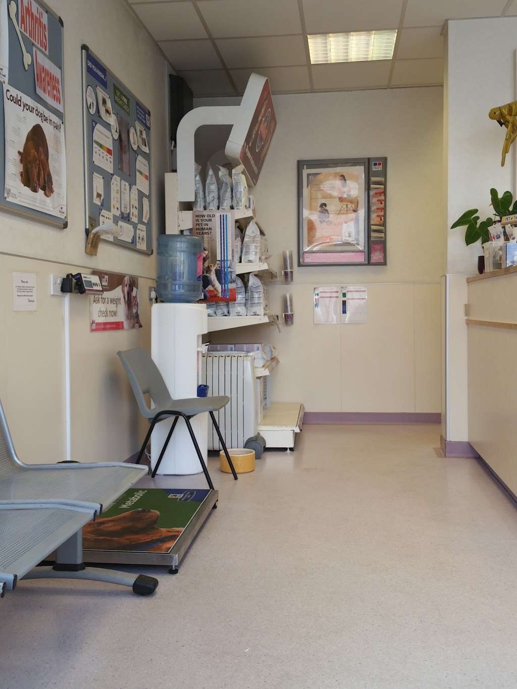 Midland Veterinary Surgery | 655 High Rd Leyton, London E10 6RA, UK | Phone: 020 8539 3538