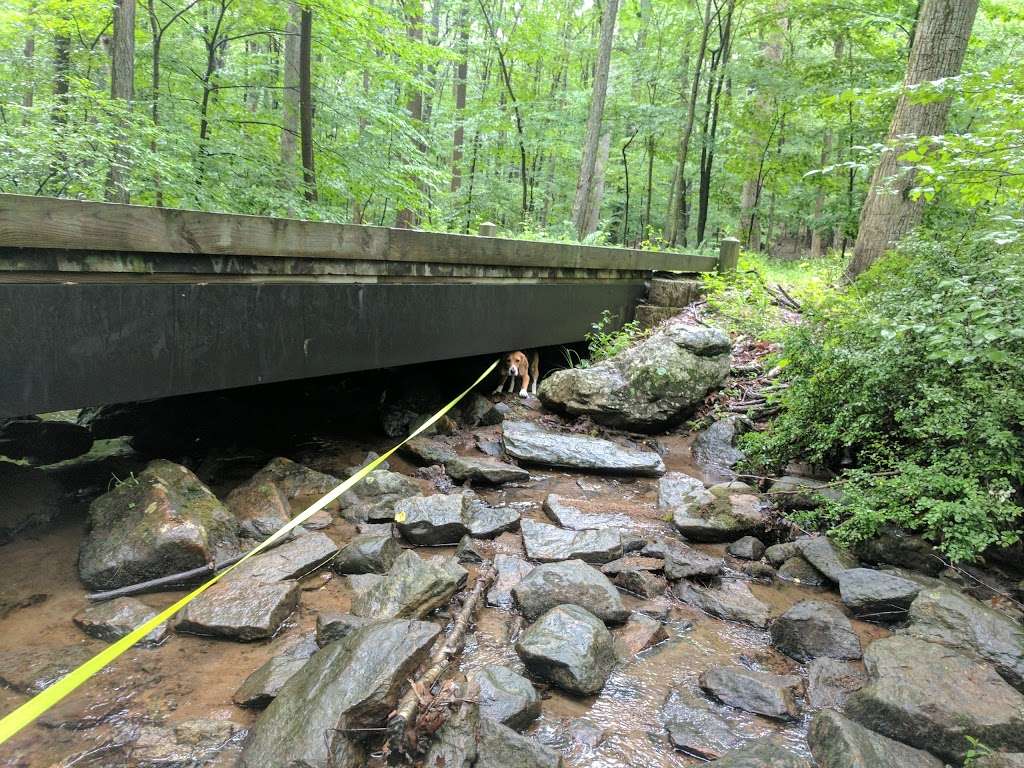 James Andrews Memorial County Park | W Hanover Ave, Randolph, NJ 07869, USA