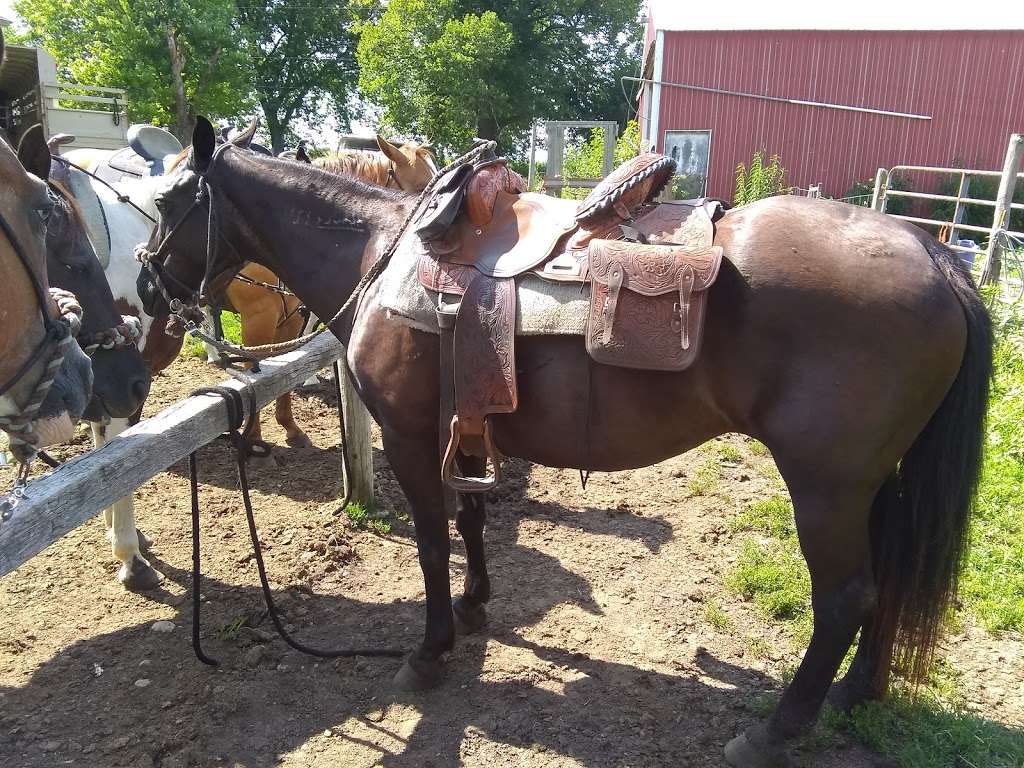 Dream A Horse - Horseback Riding Trails | Eagle Trail Head - County Road S, Eagle, WI 53119, USA | Phone: (608) 403-1972