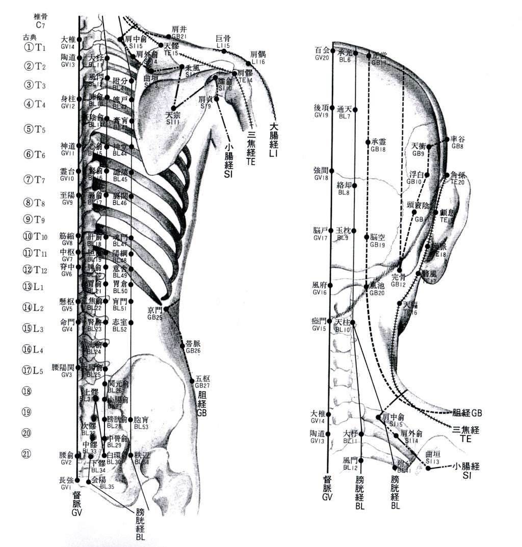 Chris La Rosa Acupuncture | 5717 Arapahoe Ave, Boulder, CO 80303 | Phone: (720) 435-8281