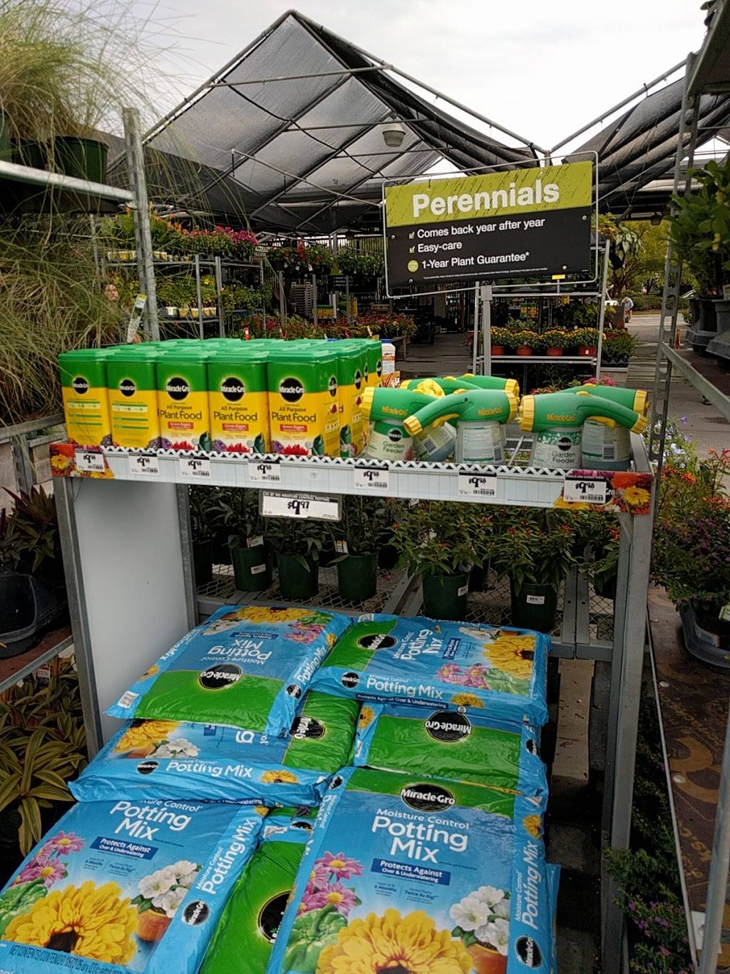 Garden Center at The Home Depot | 12721 Atlantic Blvd, Jacksonville, FL 32225, USA | Phone: (904) 220-0822