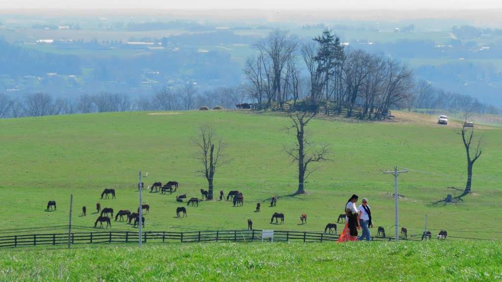 Highpoint Scenic Vista & Recreation Area | 1199 Hilt Rd, Wrightsville, PA 17368, USA | Phone: (717) 840-7440