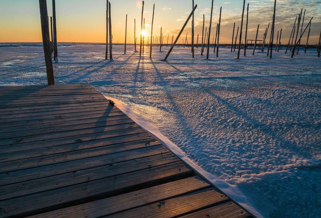 Great Bay Boulevard Wildlife Management Area | Little Egg Harbor Township, NJ 08087, USA