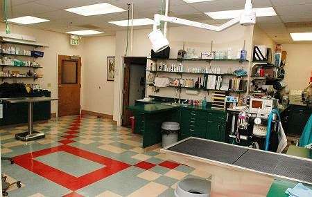 Miramonte Veterinary Hospital | 1766 Miramonte Ave, Mountain View, CA 94040, USA | Phone: (650) 962-8338