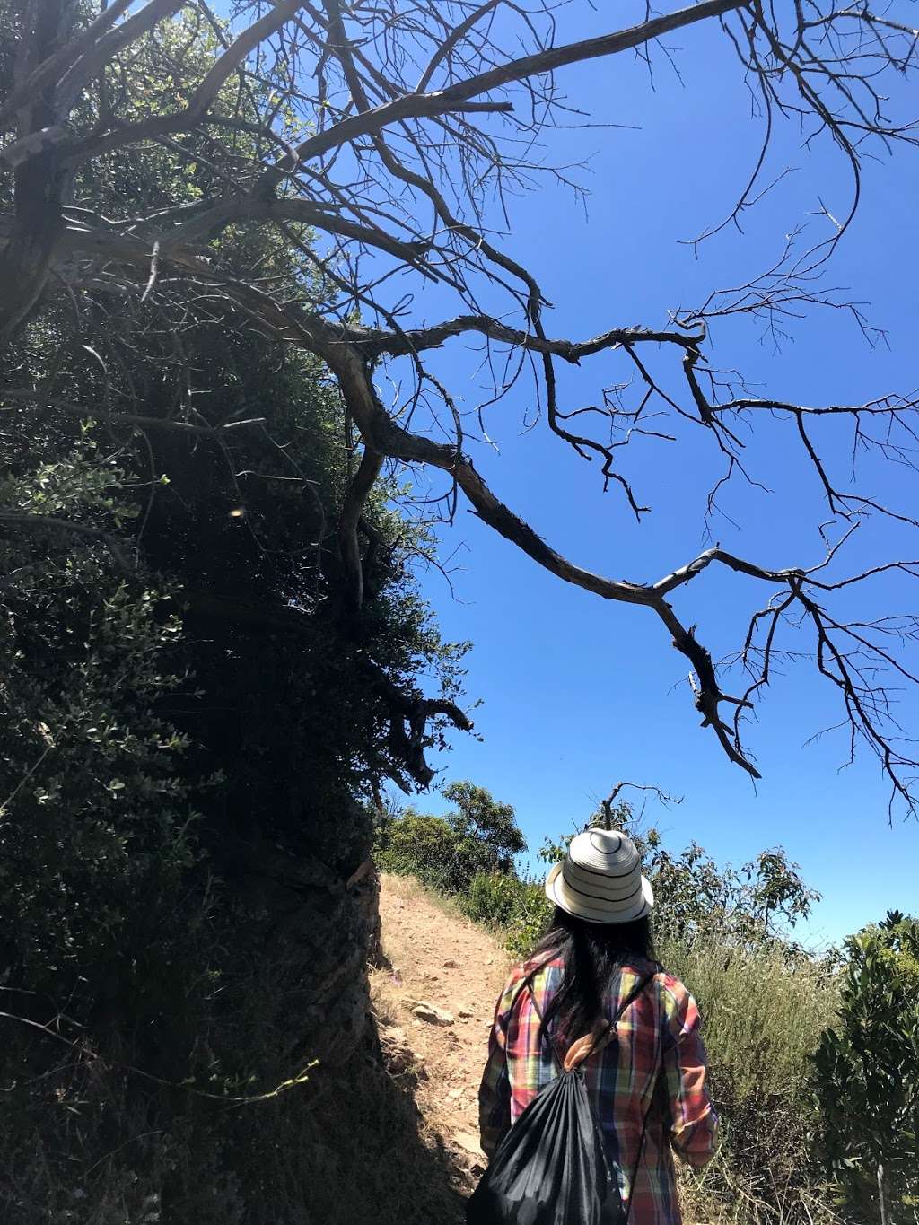 Dawn Mine Trail | Altadena, CA 91001, USA