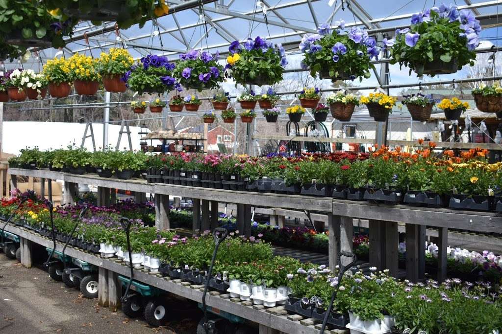 Wolf Hill Garden Center | 60 Turnpike Rd, Ipswich, MA 01938 | Phone: (978) 356-6342