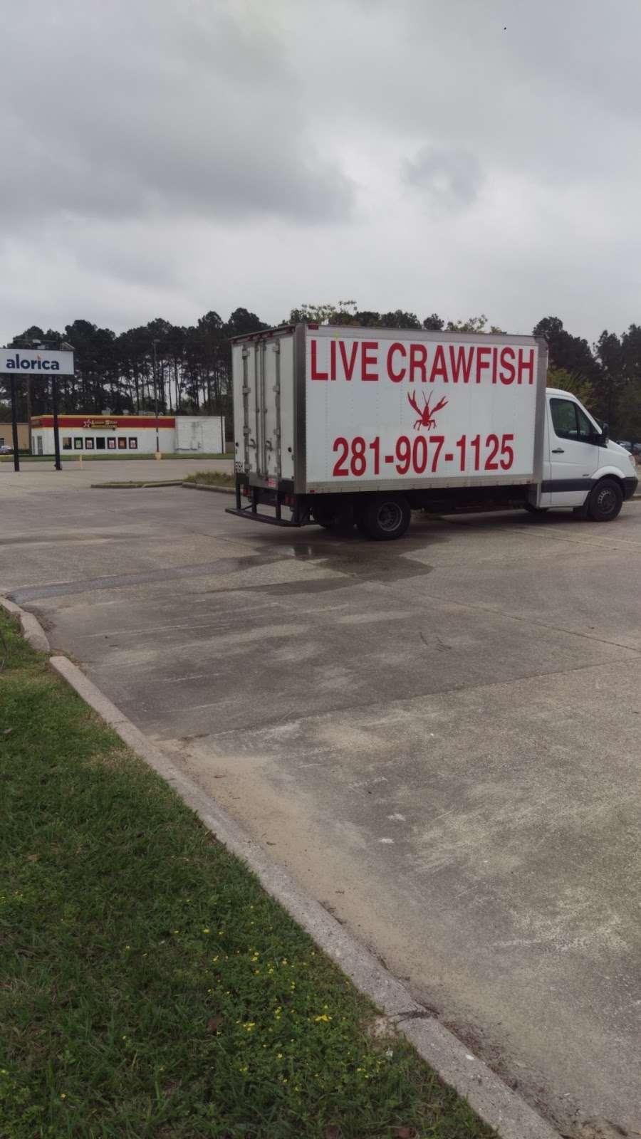 Live Crawfish of Houston | 3187 Farm to Market 1960 Road East, Humble, TX 77338, USA | Phone: (281) 907-1125