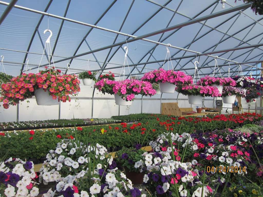 New Blooms Greenhouse | 3360 Strasburg Rd, Parkesburg, PA 19365, USA | Phone: (484) 787-9363