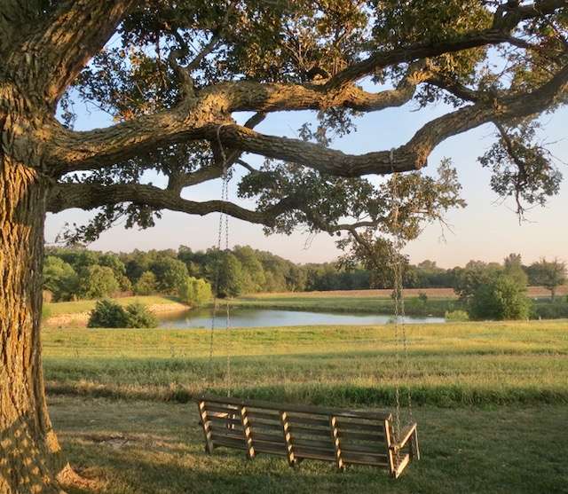 MULBERRY POND | 2252 Mulberry Road Just 1/2 mile South of 36 Highway, Hiawatha, KS 66434, USA | Phone: (785) 741-1725