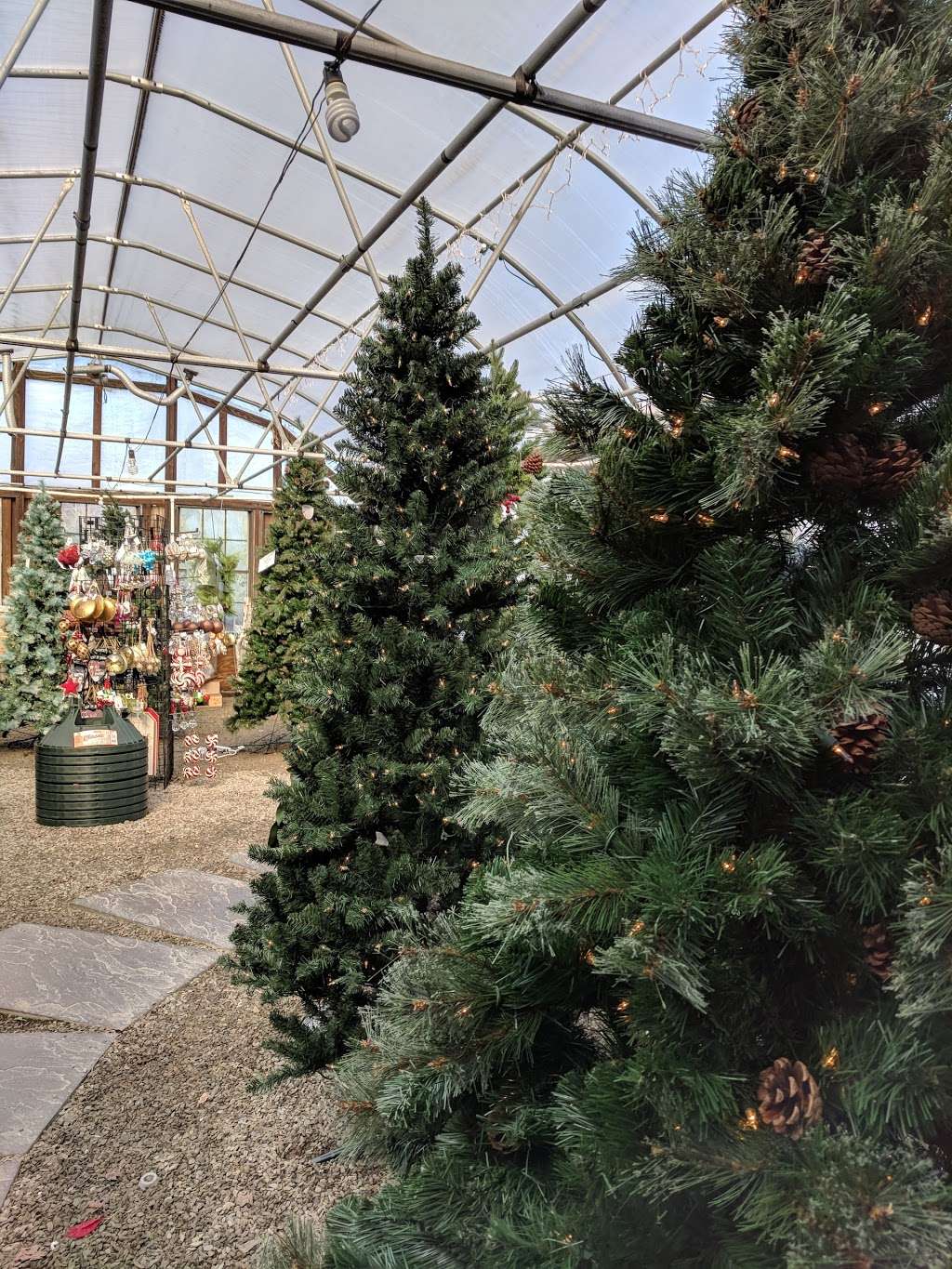 Laurel Oak Garden Center | 199 Tomlinson Mill Rd, Marlton, NJ 08053, USA | Phone: (856) 596-7779