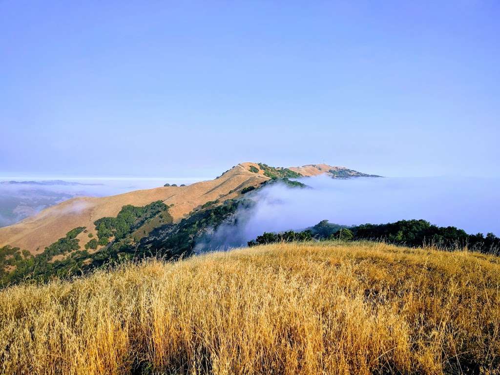 Ignacio Valley Preserve | Novato, CA 94949