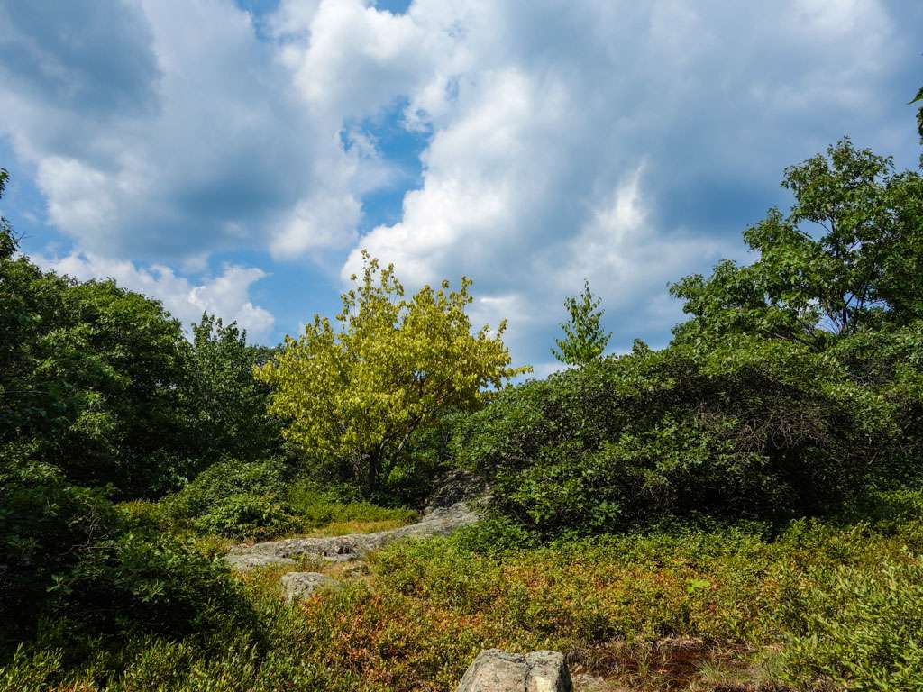 Valley of Dry Bones | Ramapo, NY 10901, USA