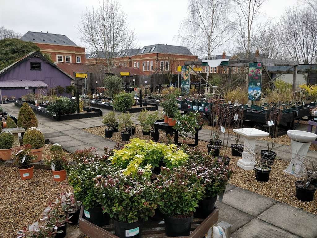 The Old Moat Garden Centre & Cafe | Horton Ln, Epsom KT19 8PQ, UK | Phone: 01372 731970