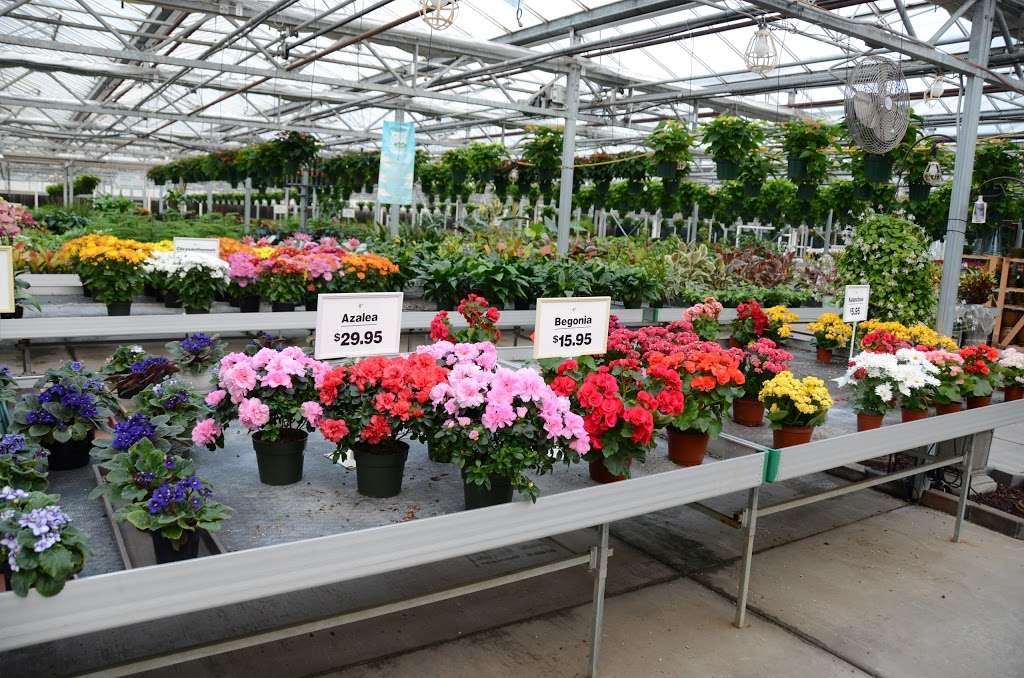 Schaefer Greenhouses Inc. | 120 S Lake St, Montgomery, IL 60538, USA | Phone: (630) 896-1936