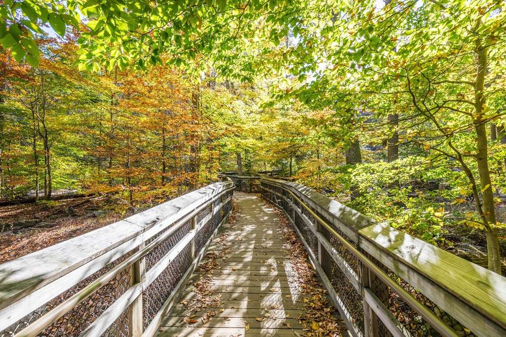 Cunningham Falls - northern trailend viewpoint | Smithsburg, MD 21783