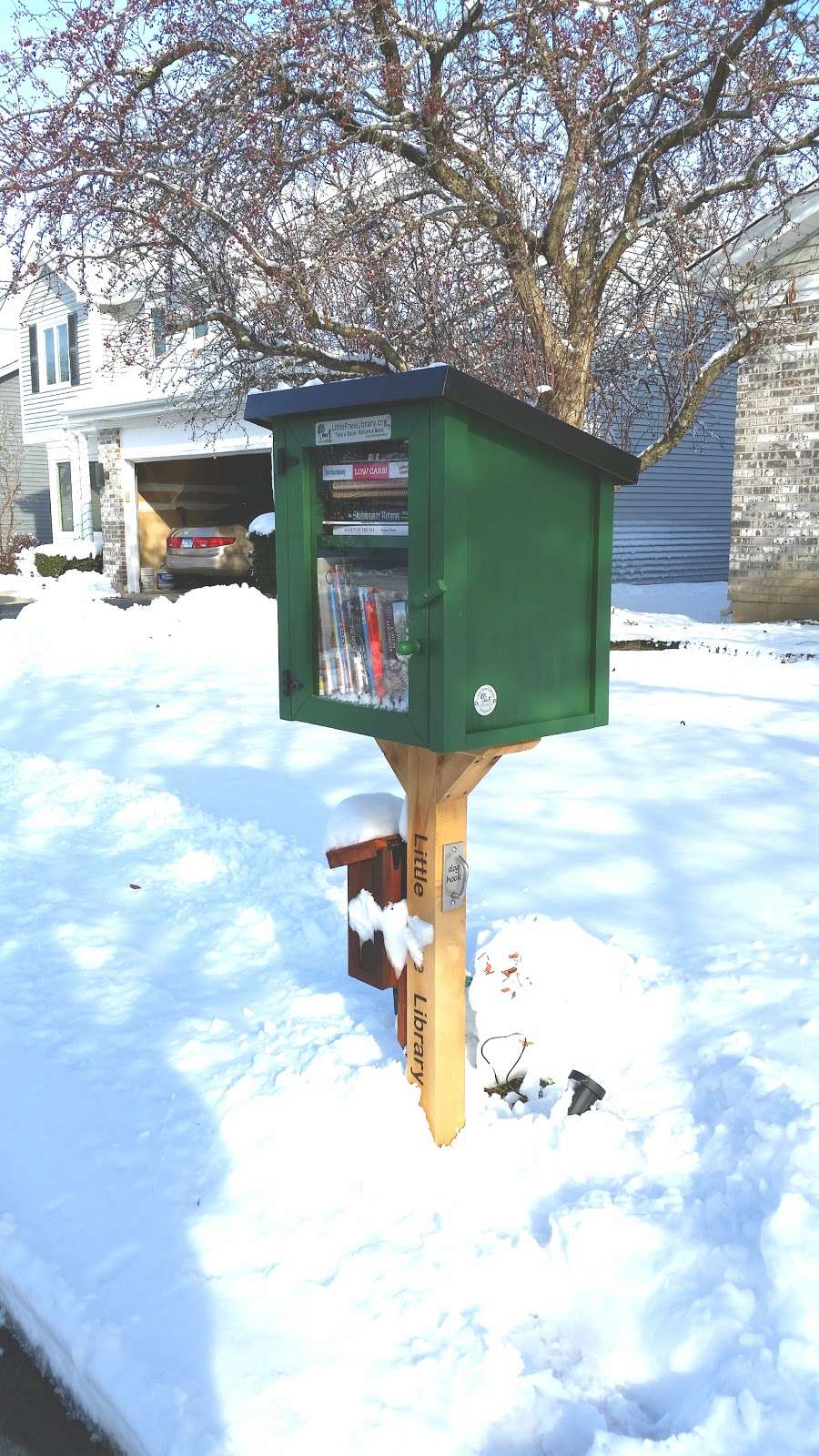 Little Free Library #63496 | 602 Stuart Dr, Carol Stream, IL 60188, USA