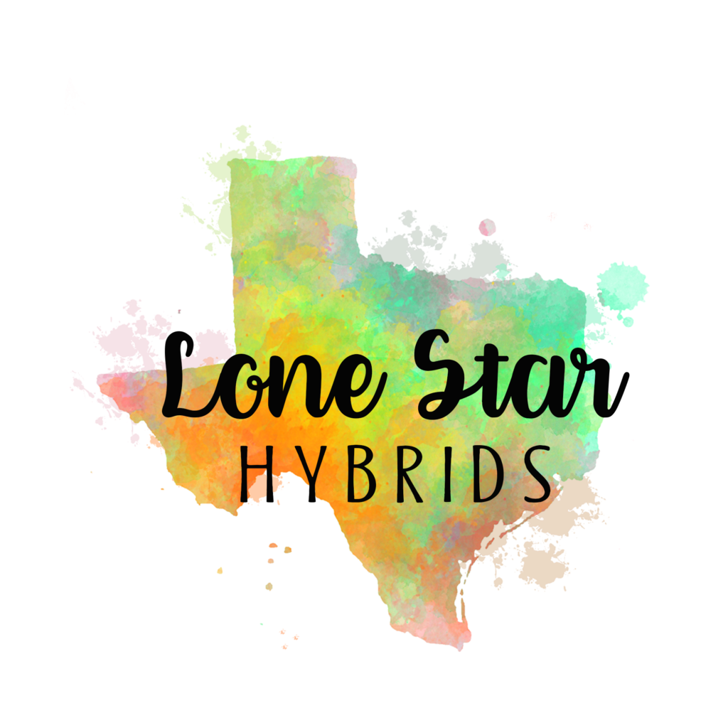 Lone Star Hybrids | 11503 Farm to Market Rd 1488, Magnolia, TX 77354, USA | Phone: (346) 703-0906