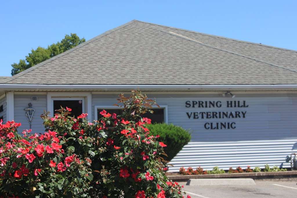 Spring Hill Veterinary Clinic | 602 N Webster St, Spring Hill, KS 66083, USA | Phone: (913) 592-2770