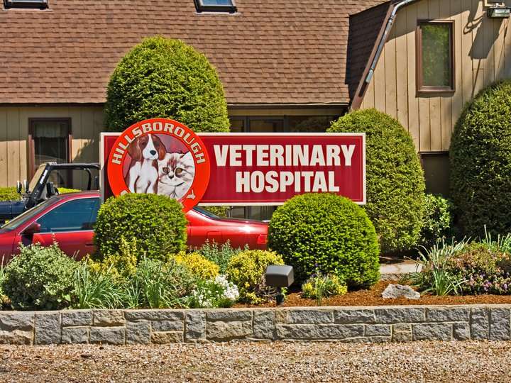 Hillsborough County Veterinary Hospital | 22 Pine Rd, Amherst, NH 03031, USA | Phone: (603) 672-2300