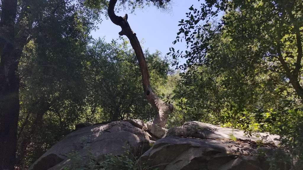 Oak Oasis County Preserve | Wildcat Canyon Rd, Lakeside, CA 92040, USA