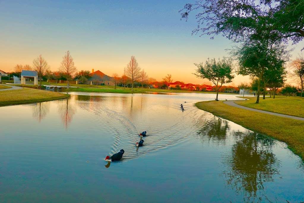 Long Meadow Farms pool | 21018 Long Meadow Farms Pkwy, Richmond, TX 77406, USA